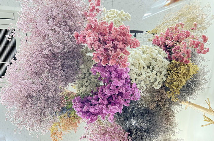 BB’Flowers倉敷店